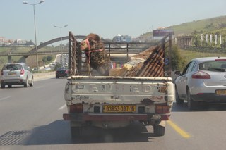 A new highway in Algeria