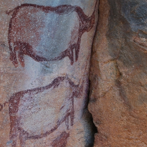 Tsodilo Hills art, by Joachim Huber [CC-BY-SA-2.0 (http://creativecommons.org/licenses/by-sa/2.0)], via Wikimedia Commons
