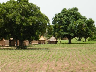 Agriculture in Burkina Faso Agriculture in Burkina Faso