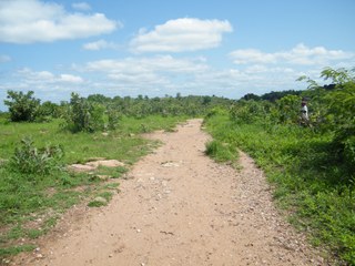 Dirt track leading into grassland in Burkina Faso