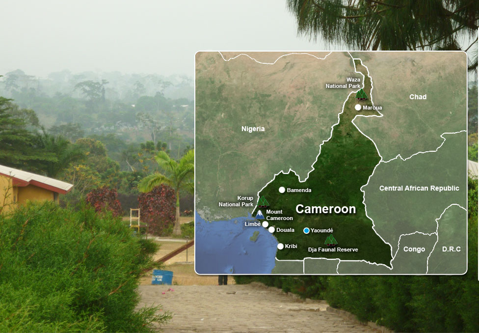 Cameroon map