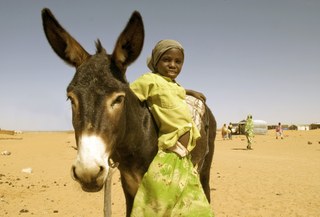 A girl leaning on a donkey in the desert A girl leaning on a donkey in the desert