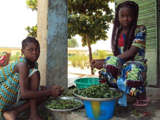 Girls cleaning vegetables in preparation Girls cleaning vegetables in preparation