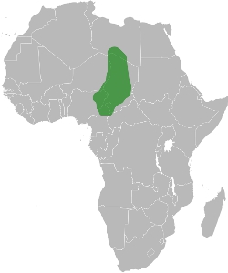 Kanem-Bornu kingdom, by ArnoldPlaton (Own work, svg version of Afrika-Kanem-Bornu.png) [CC0], via Wikimedia Commons