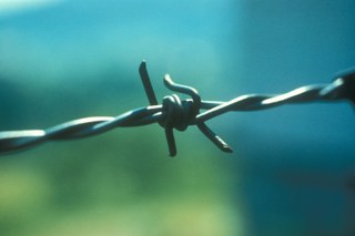 Barbwire