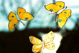 Decorative butterflies on a windowpane
