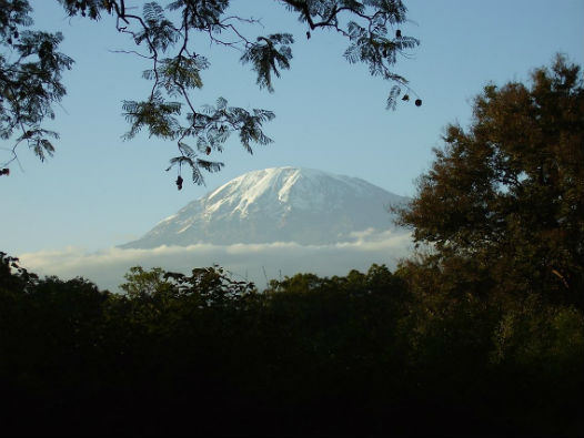 Kilimanjaro