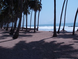 The coast of Ivory Coast