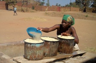 Washing grains of maize Washing grains of maize