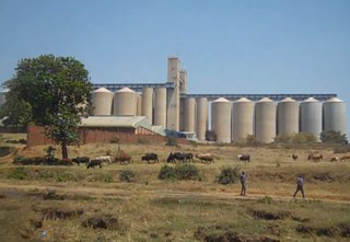 Maize Silos