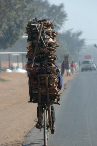 A man cycling a bike laden with wood