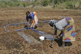 Farming in Mozambique