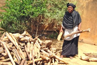 A woman collecting logs, Niger
