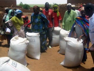 Collecting sacks of food in Niger