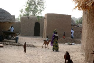 Traditional mud buildings in Niger