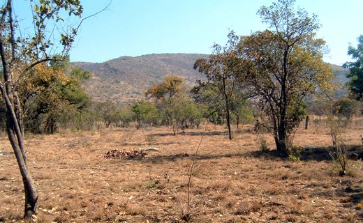 South African scenery