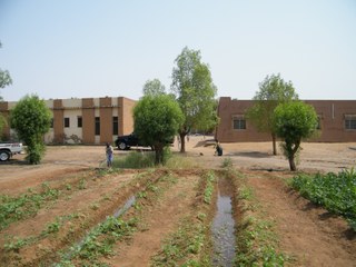 Farmland in Sudan