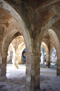 Ruins of Great Mosque, Kilwa Kisiwani, by en:user:Claude McNab [Public domain], via Wikimedia Commons