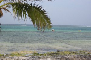 Tanzania coast, by Eirik Newth from Oslo, Oslo (Flickr) [CC-BY-2.0 (http://creativecommons.org/licenses/by/2.0)], via Wikimedia Commons