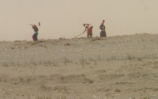 Women working in a field