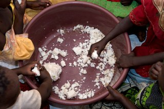 A maize dish