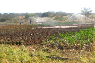 A crop irrigation system at work on a field in Zimbabwe