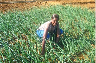 A young woman working in a field
