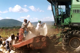Harvesting